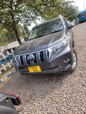 Toyota Land Cruiser Prado 2019 Gray