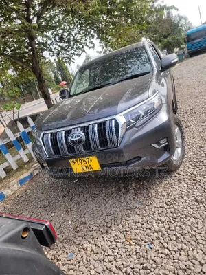 Toyota Land Cruiser Prado 2019 Gray