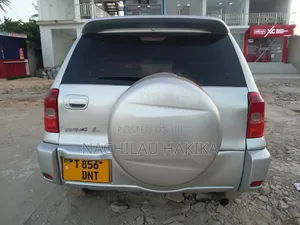 Toyota RAV4 2004 Silver