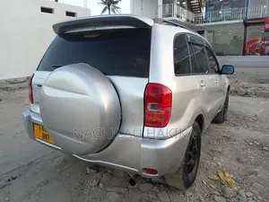 Toyota RAV4 2004 Silver
