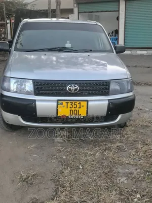 Toyota Probox 2005 Gray