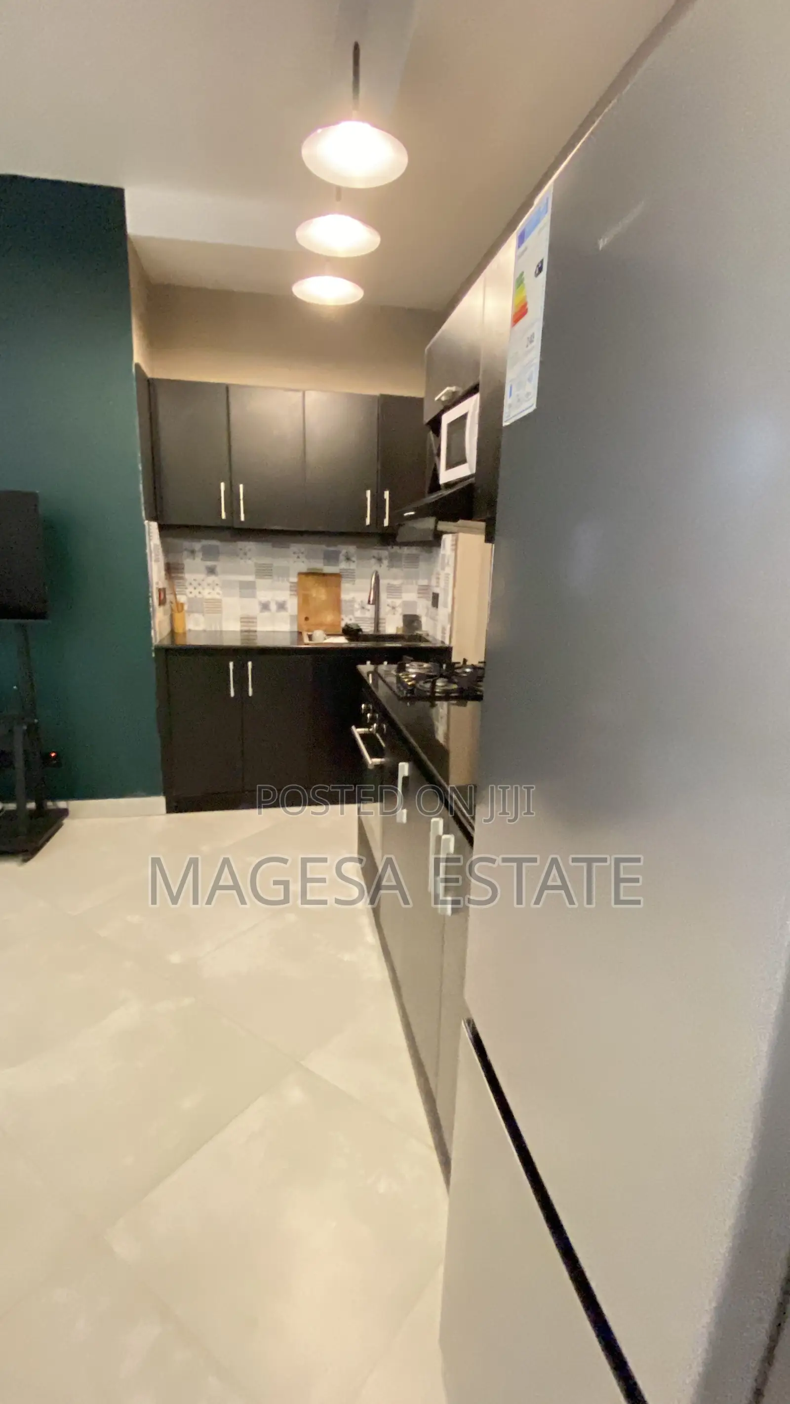 Furnished 1bdrm Apartment in Masaki for rent