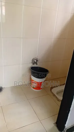 2bdrm Apartment in Tanzania Daresalaam., Ilala for rent