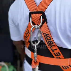 Workman Safety Harness