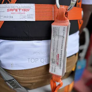 Workman Safety Harness