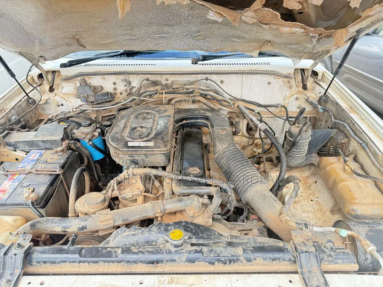 Toyota Land Cruiser 2001 White
