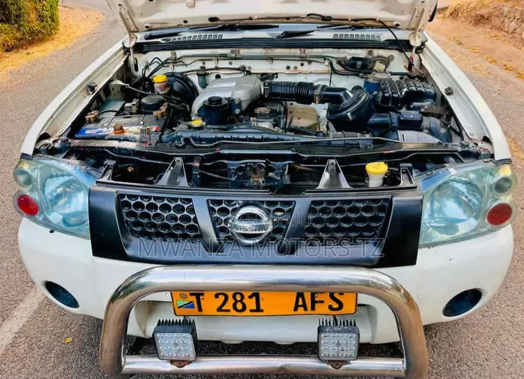Nissan Hardbody 2007 Pearl