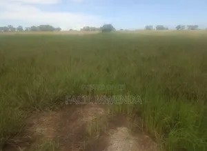 Plot for Sale at Kigamboni