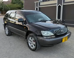 Toyota Harrier 2005 Gray