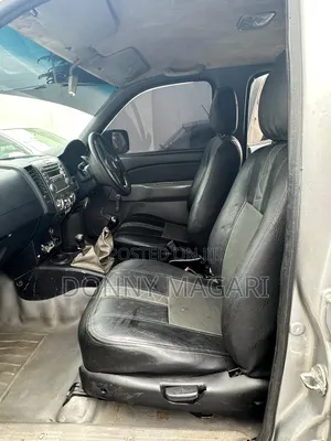 Ford Ranger 2010 Gray