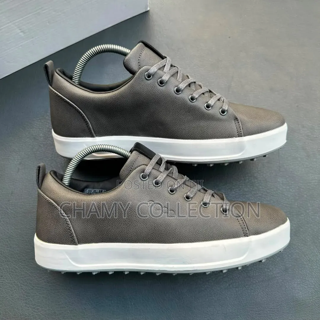 Mens Shoes Good Qulity Ecco