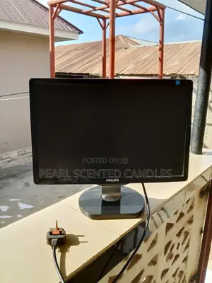 Computer Monitor (HP)