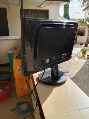 Computer Monitor (HP)