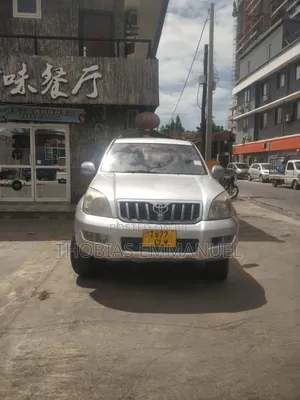 Toyota Land Cruiser Prado 2006 Silver