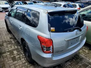 Toyota Corolla Fielder 2010 Silver