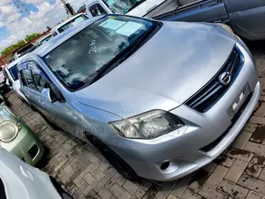 Toyota Corolla Fielder 2010 Silver