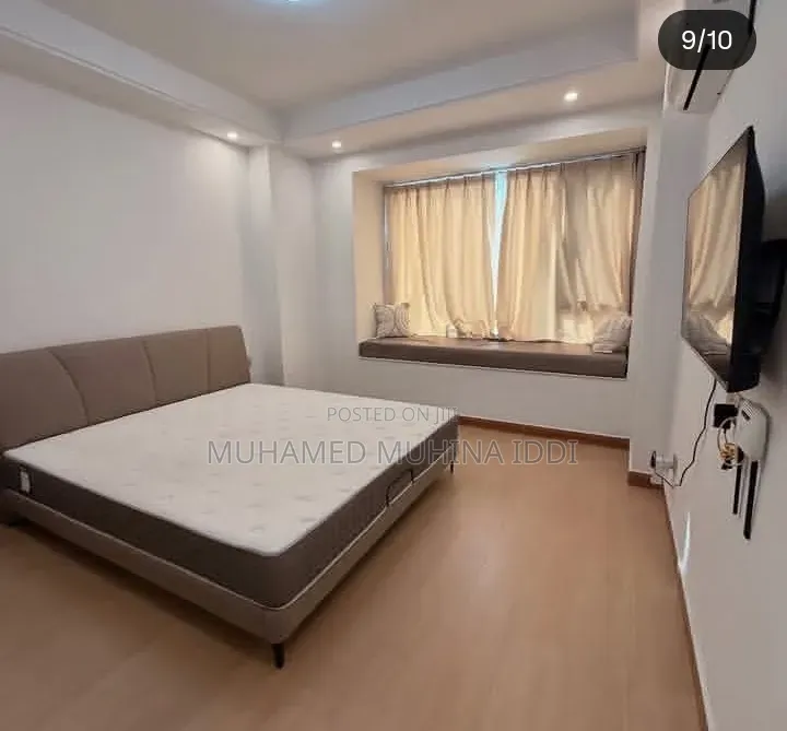Furnished 3bdrm Apartment in Masaki for rent