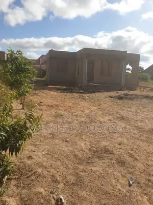 Pagale Zuri Sana La Vyumba Vitatu Linaunzwa Iyumbu Dodoma
