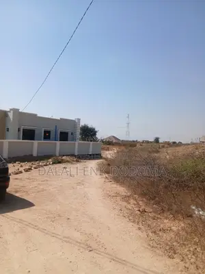 Pagale Zuri Sana La Vyumba Vitatu Linaunzwa Iyumbu Dodoma