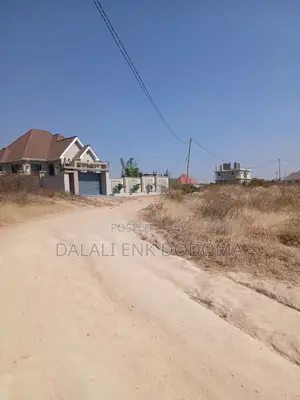 Pagale Zuri Sana La Vyumba Vitatu Linaunzwa Iyumbu Dodoma