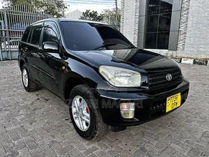 Toyota RAV4 2004 Black