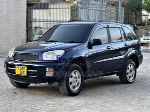 Toyota RAV4 2005 Blue