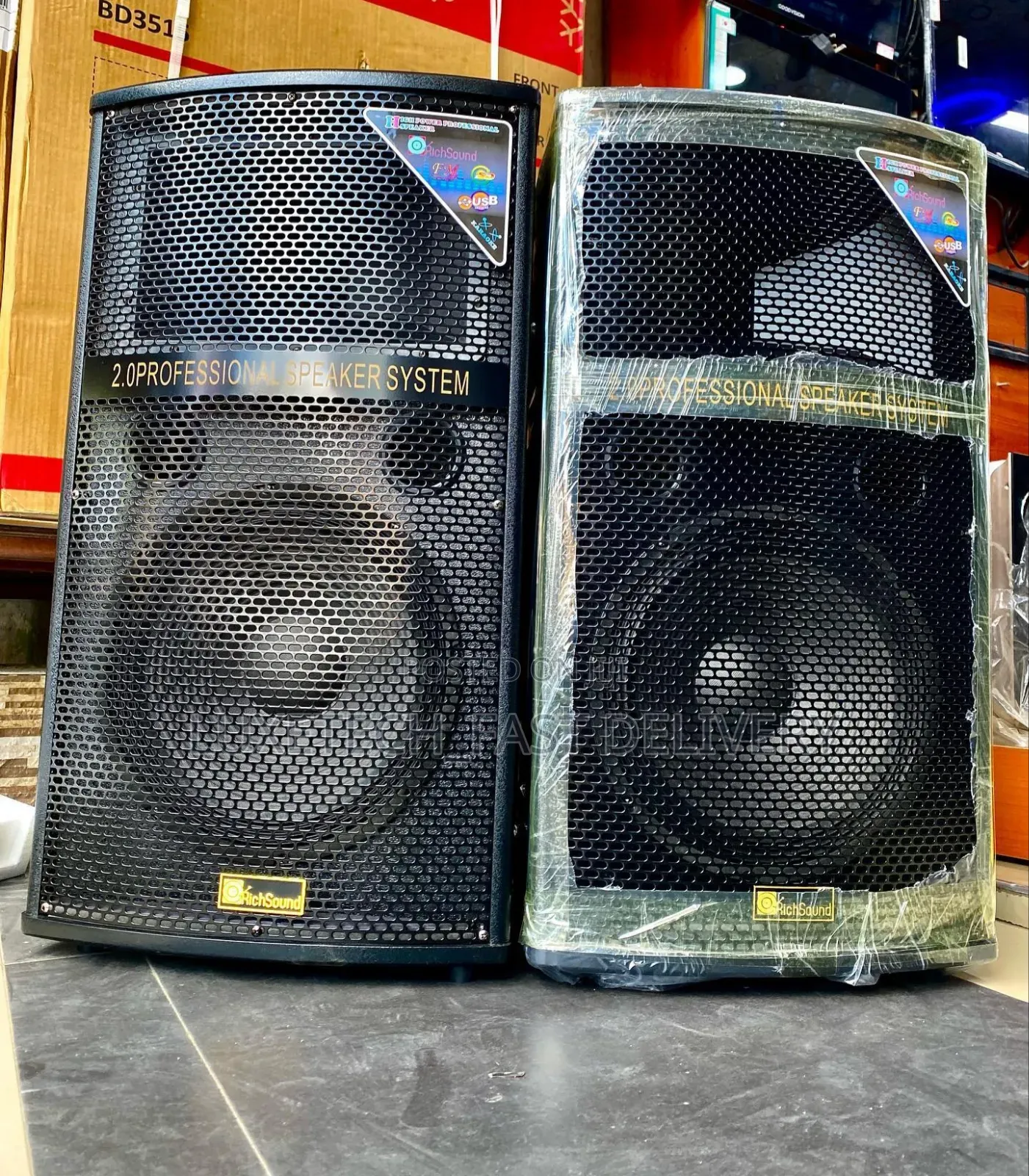 RichSound RS-102B 12" Professional Karaoke Speakers 160W With 1 Mic