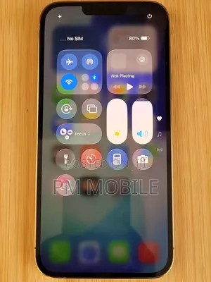 Apple iPhone 13 Pro Max 1 TB