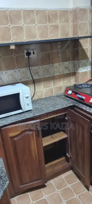 Furnished 3bdrm Block of Flats in Kariakoo Livingstone, Ilala for rent