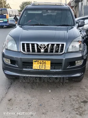 Toyota Land Cruiser Prado 2005 Gray