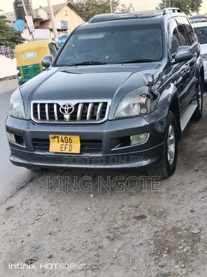 Toyota Land Cruiser Prado 2005 Gray