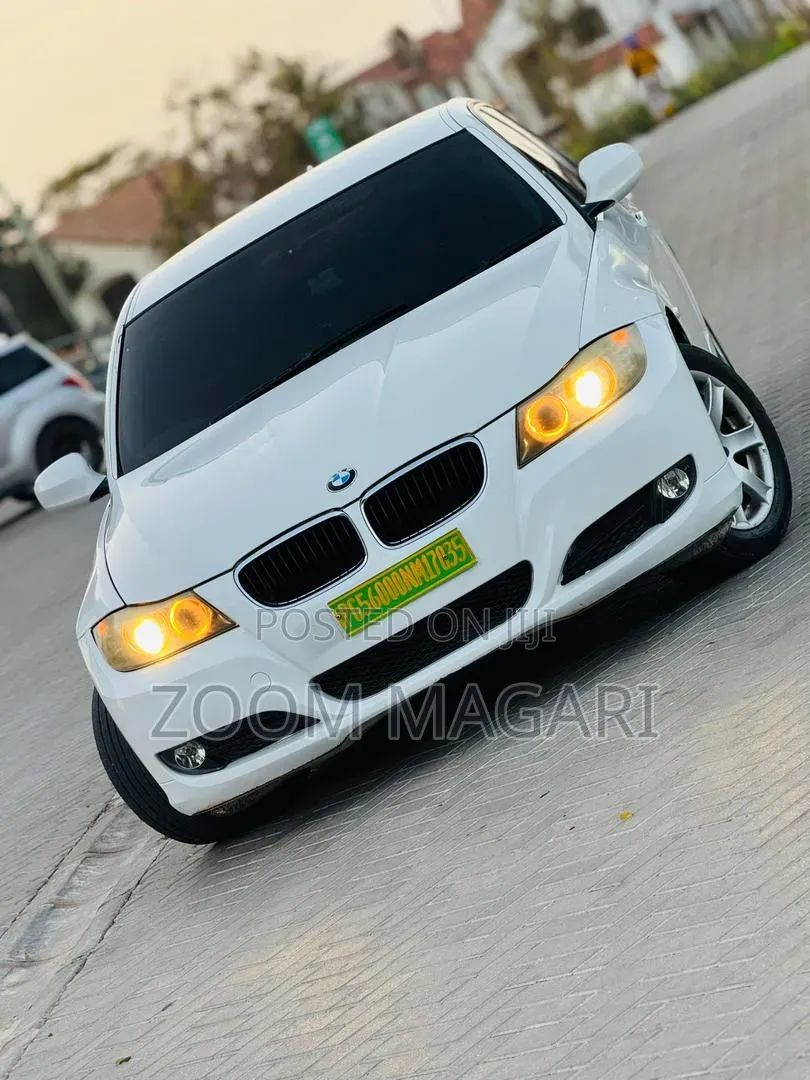 BMW 3 Series 2008 Pearl