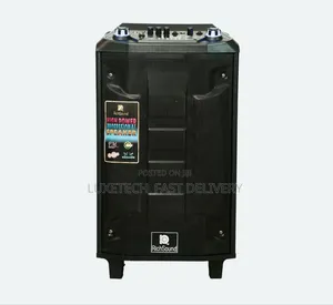 RichSound RS-219 12" Rechargeable Trolley PA Speaker + 2 Wireless Mic