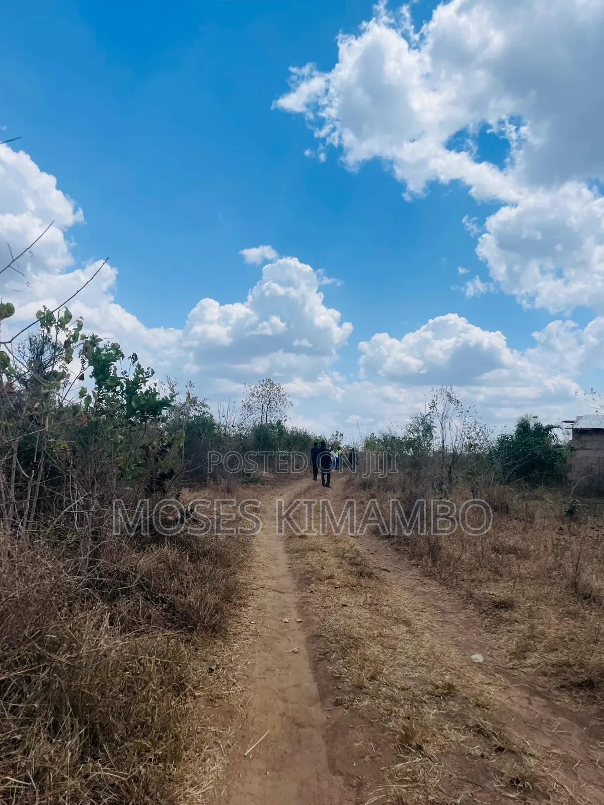 Africa Digital Investment Group Wauzaji Wa Viwanja Na Mashamba