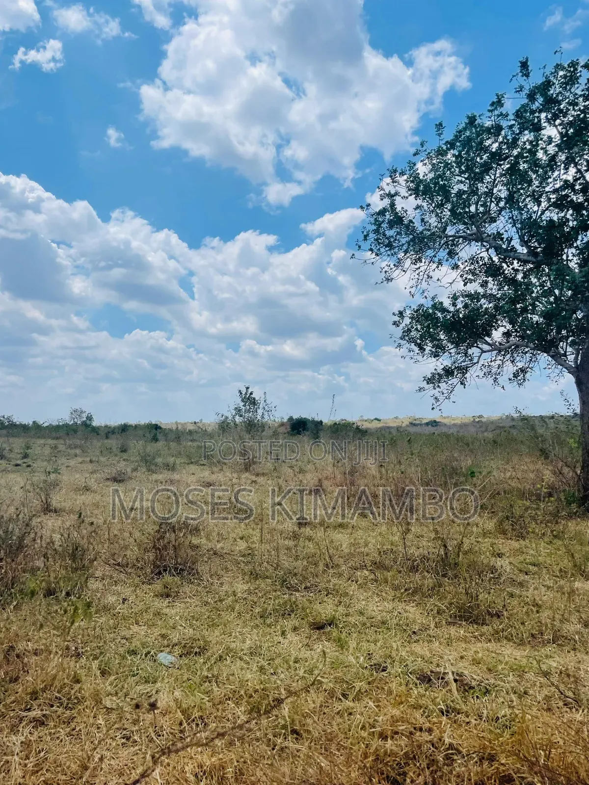 Africa Digital Investment Group Wauzaji Wa Viwanja Na Mashamba