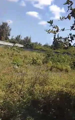 Second Line Beach Plot for Sale at Jambiani Zanzibar