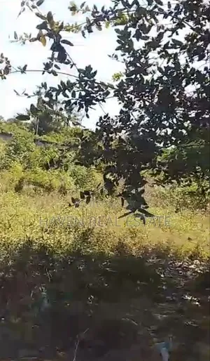 Second Line Beach Plot for Sale at Jambiani Zanzibar