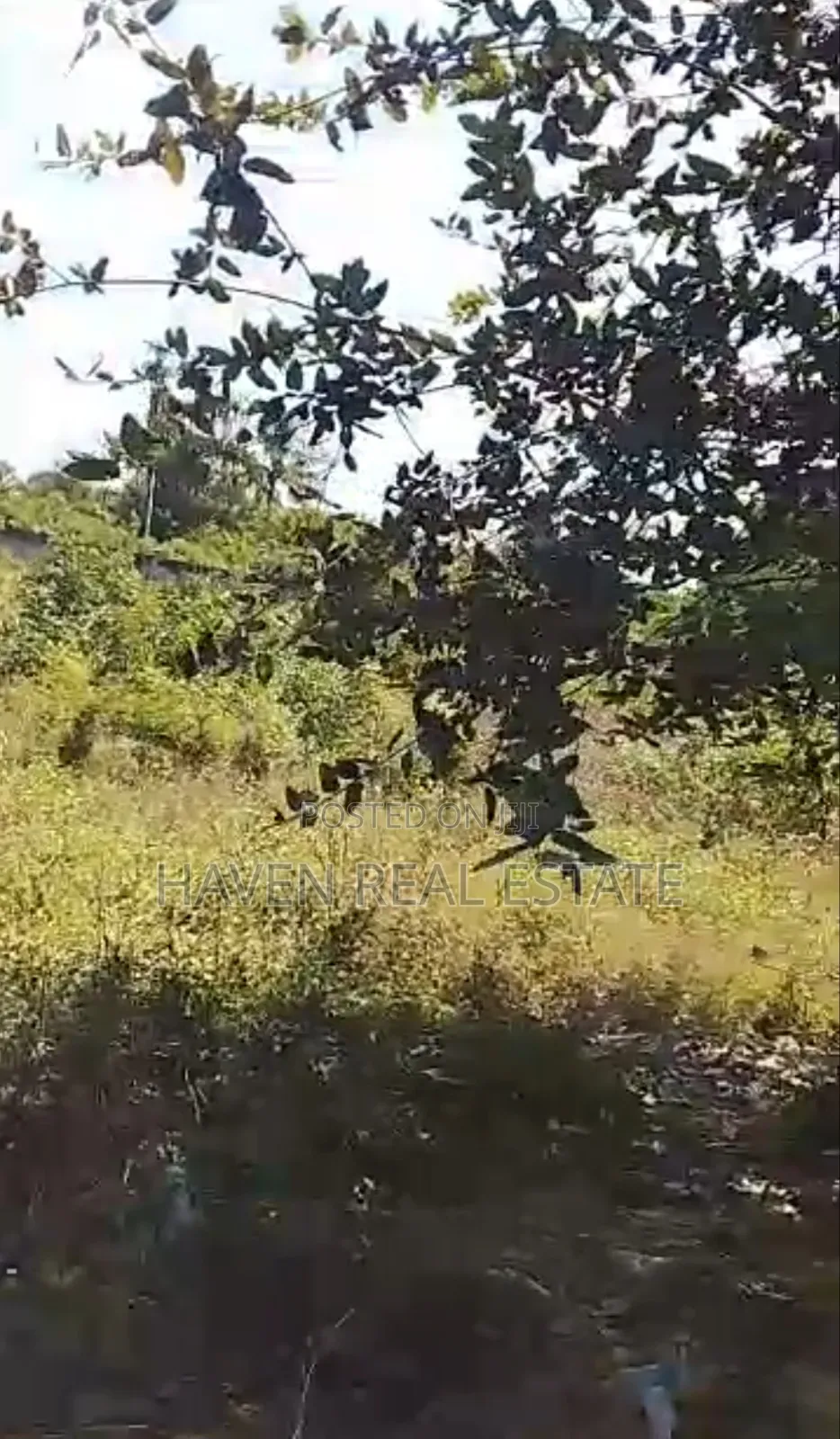 Second Line Beach Plot for Sale at Jambiani Zanzibar