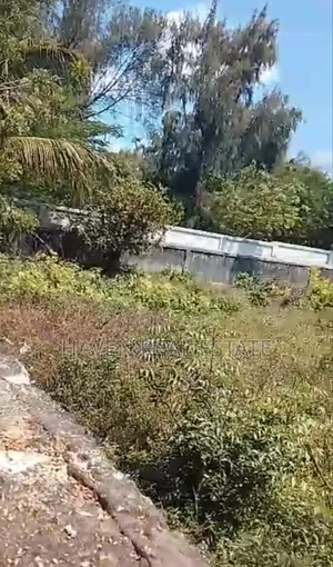 Second Line Beach Plot for Sale at Jambiani Zanzibar