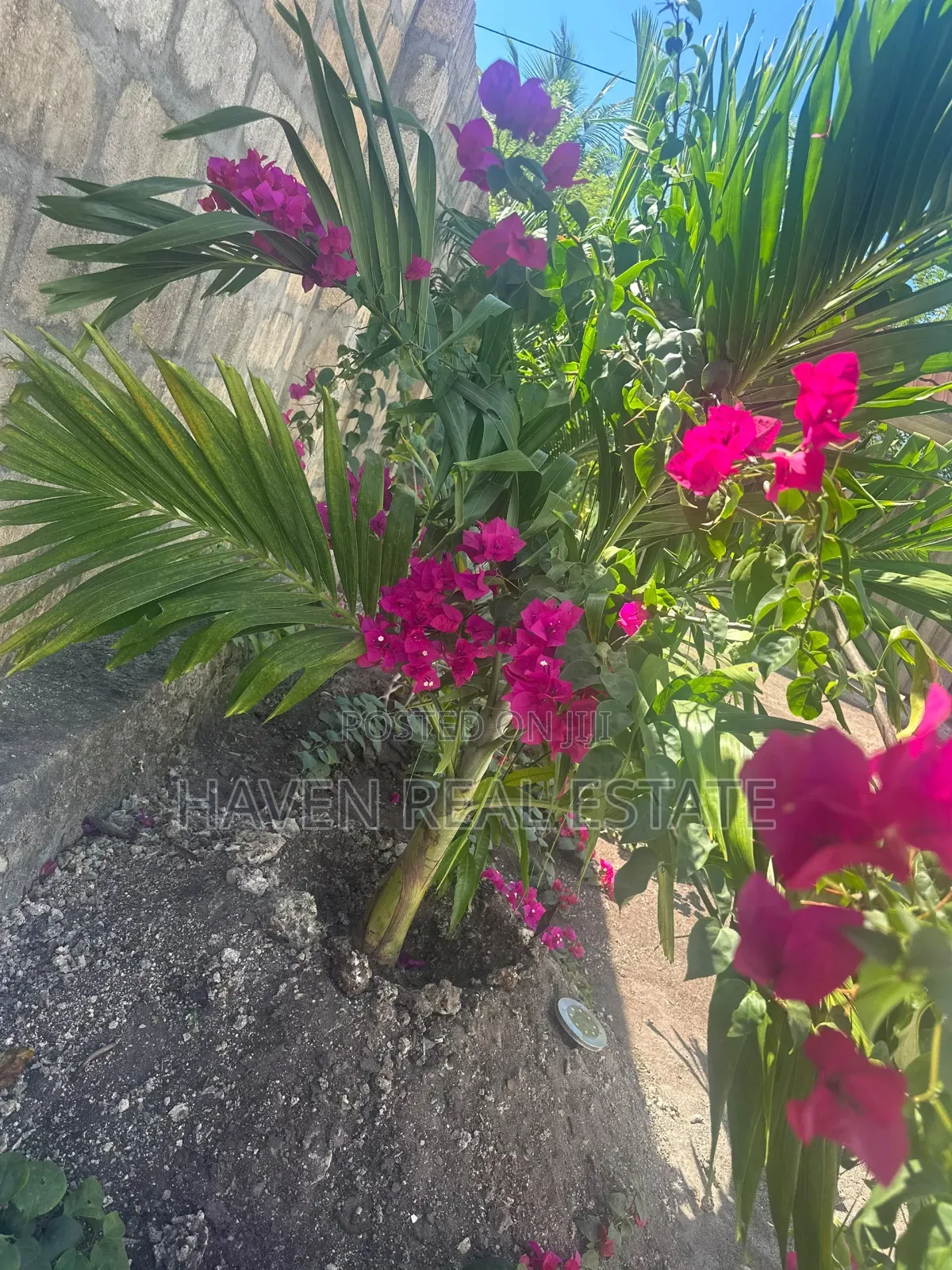 1bdrm House in Kati for sale