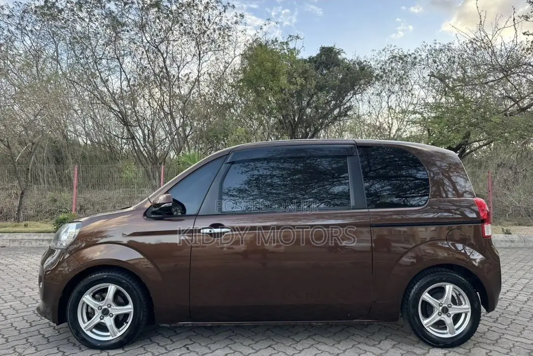 Toyota Porte 2014 Brown