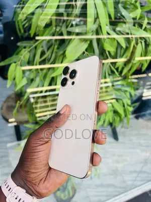 Apple iPhone 16 Pro Max 256 GB Gold