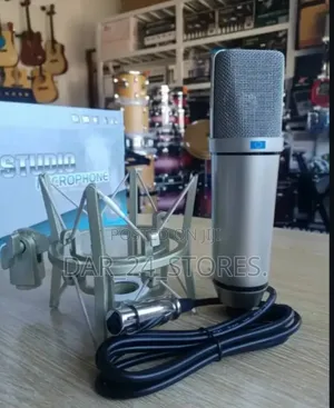 Studio Condenser Microphone.