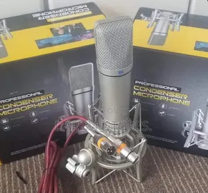 Studio Condenser Microphone.