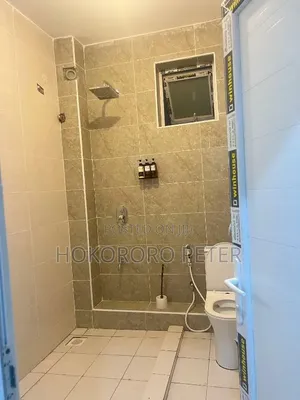 2bdrm Apartment in Morocco Airtel, Kinondoni for rent