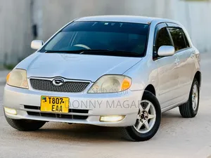 Toyota Corolla RunX 2002 Silver
