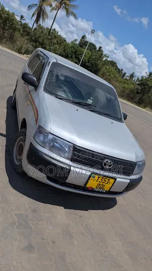 Toyota Probox 2005 Silver