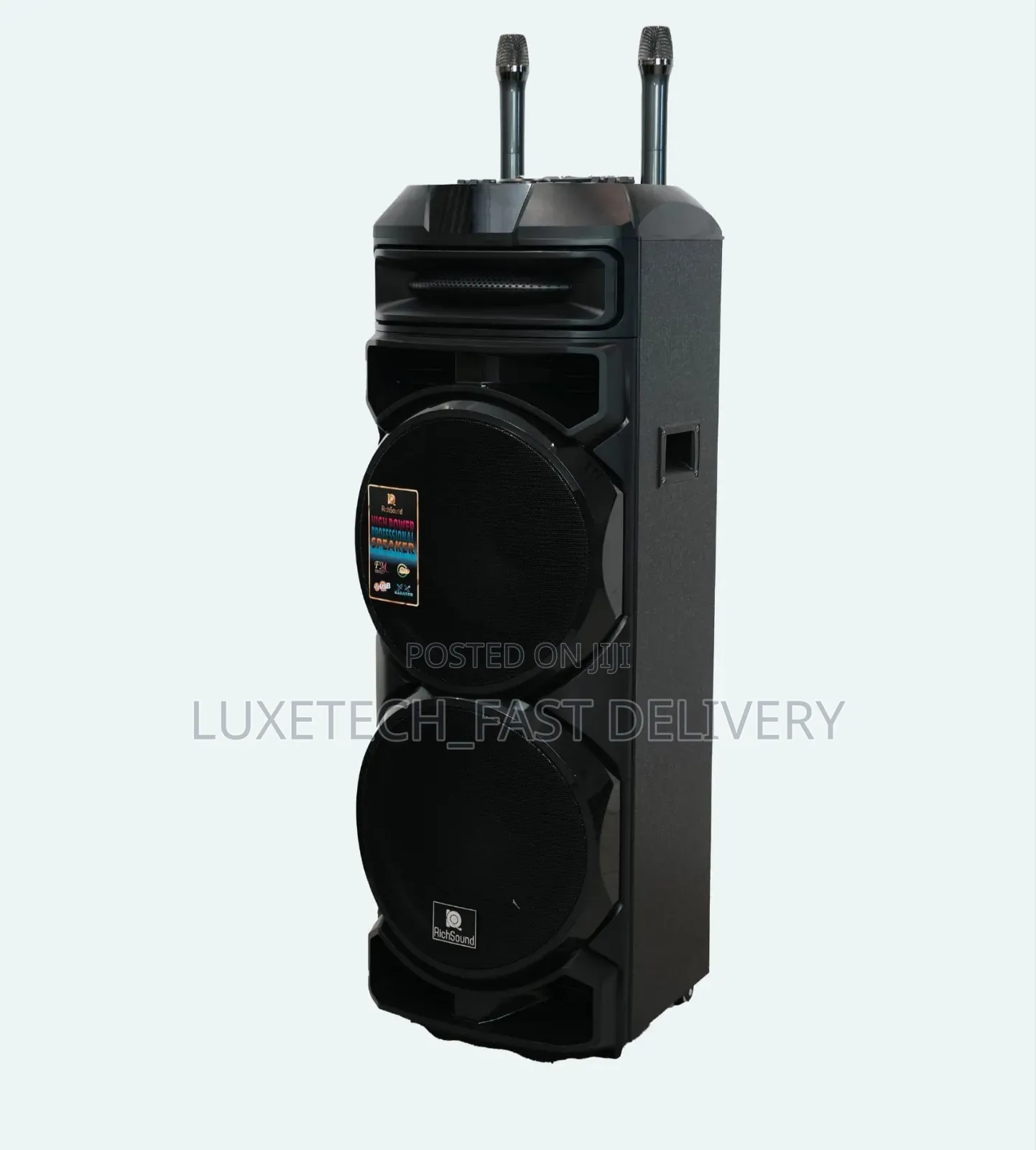 RichSound Dual 12" Party Speaker 100W – Karaoke With 2 Wireless Mics