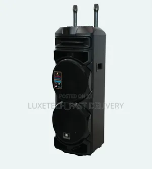 RichSound Dual 12" Party Speaker 100W – Karaoke With 2 Wireless Mics