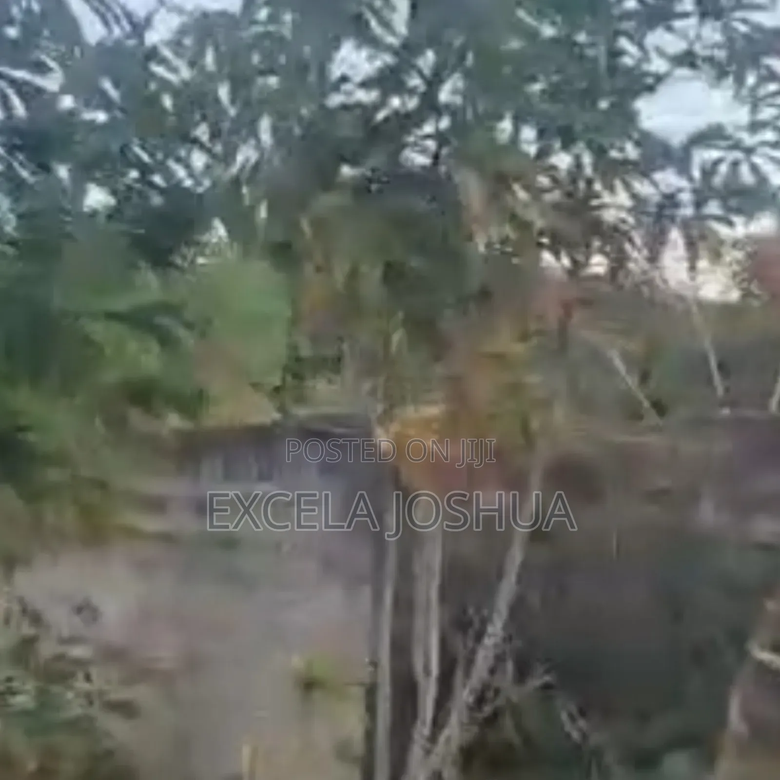 Kiwanja Kizuri Sana Kinauzwa Kijichi Njia Panda Ya Neluka